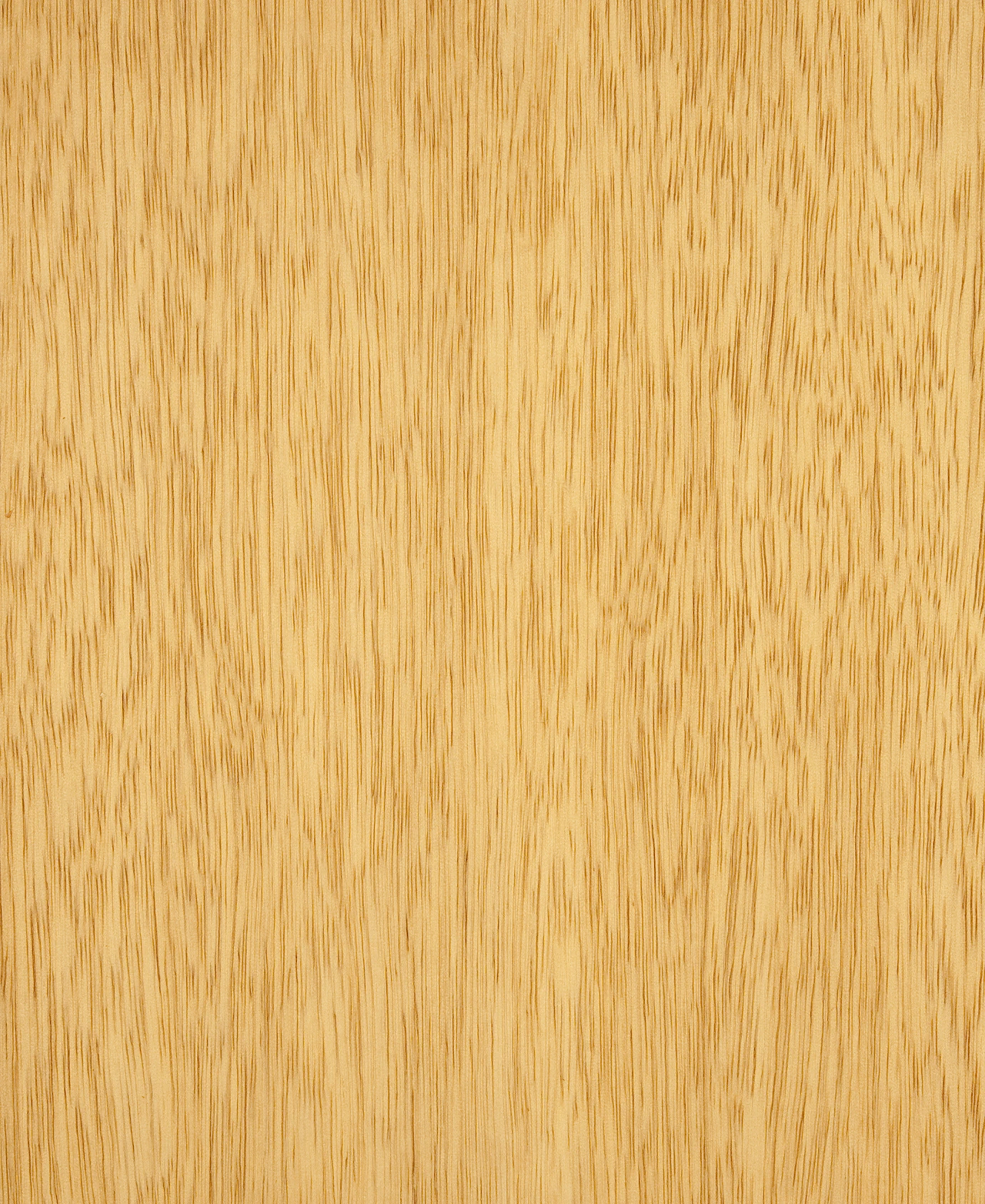 picture alternative text