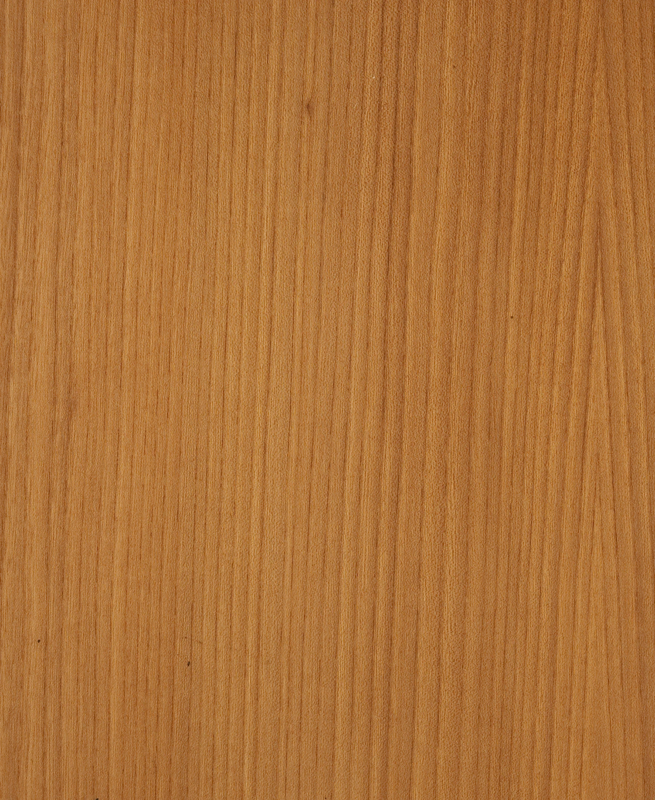 picture alternative text