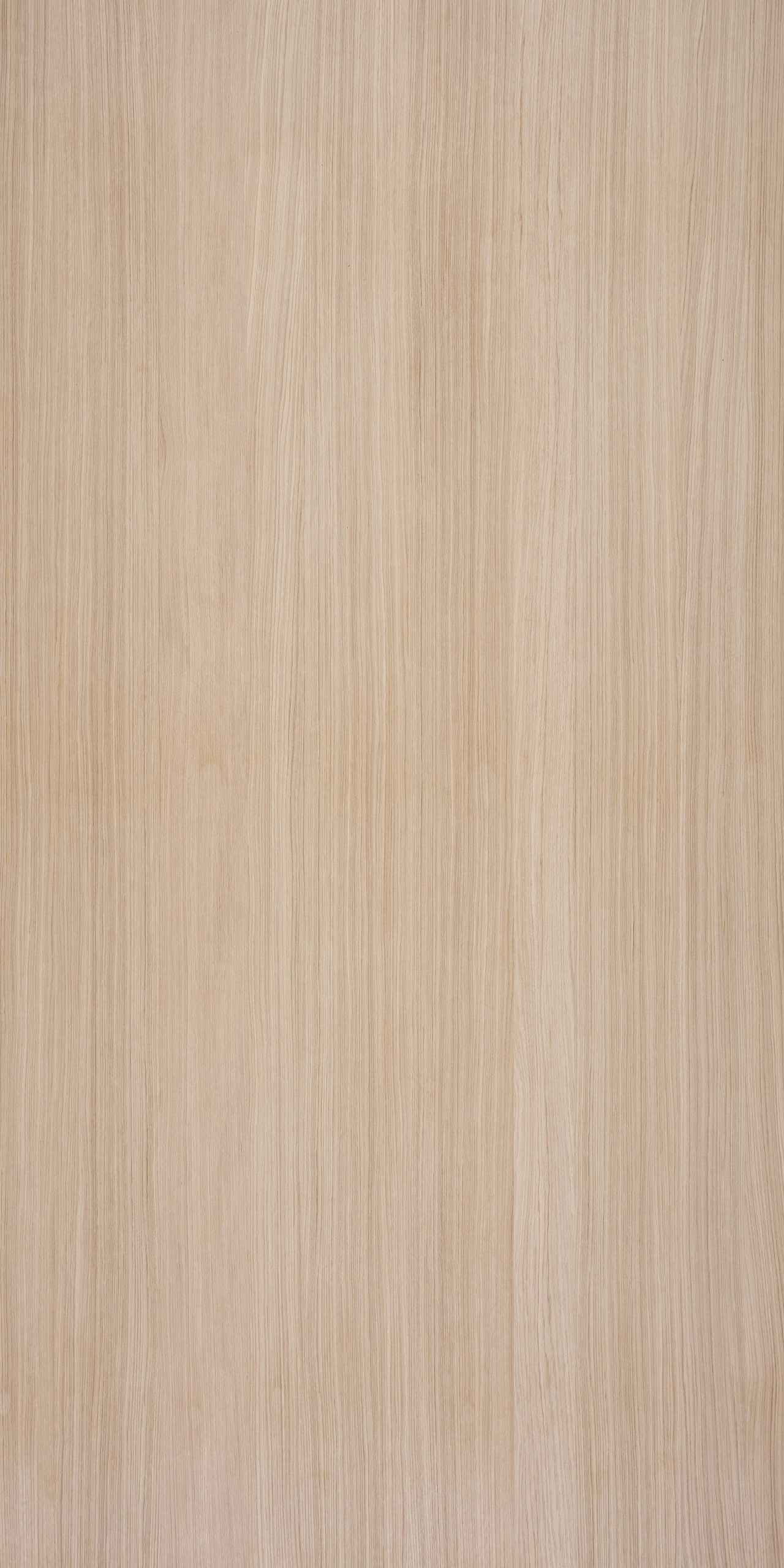 picture alternative text