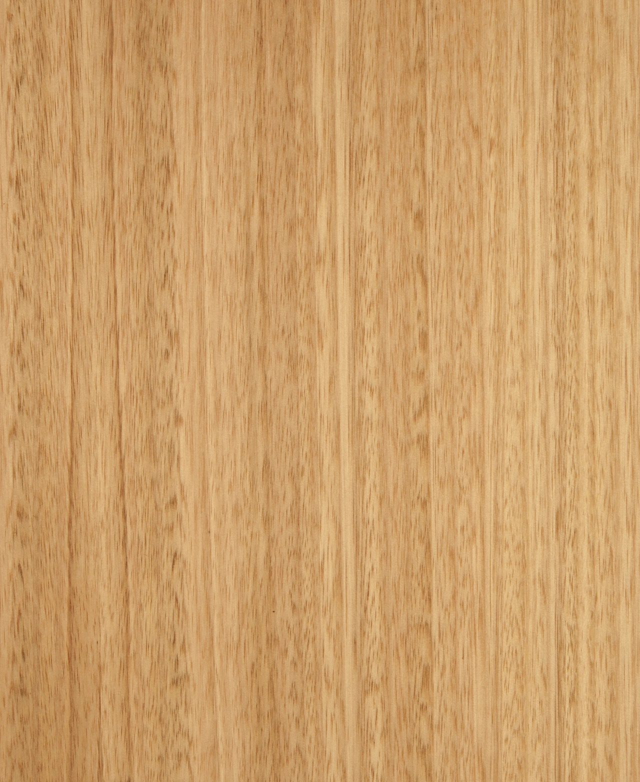 picture alternative text