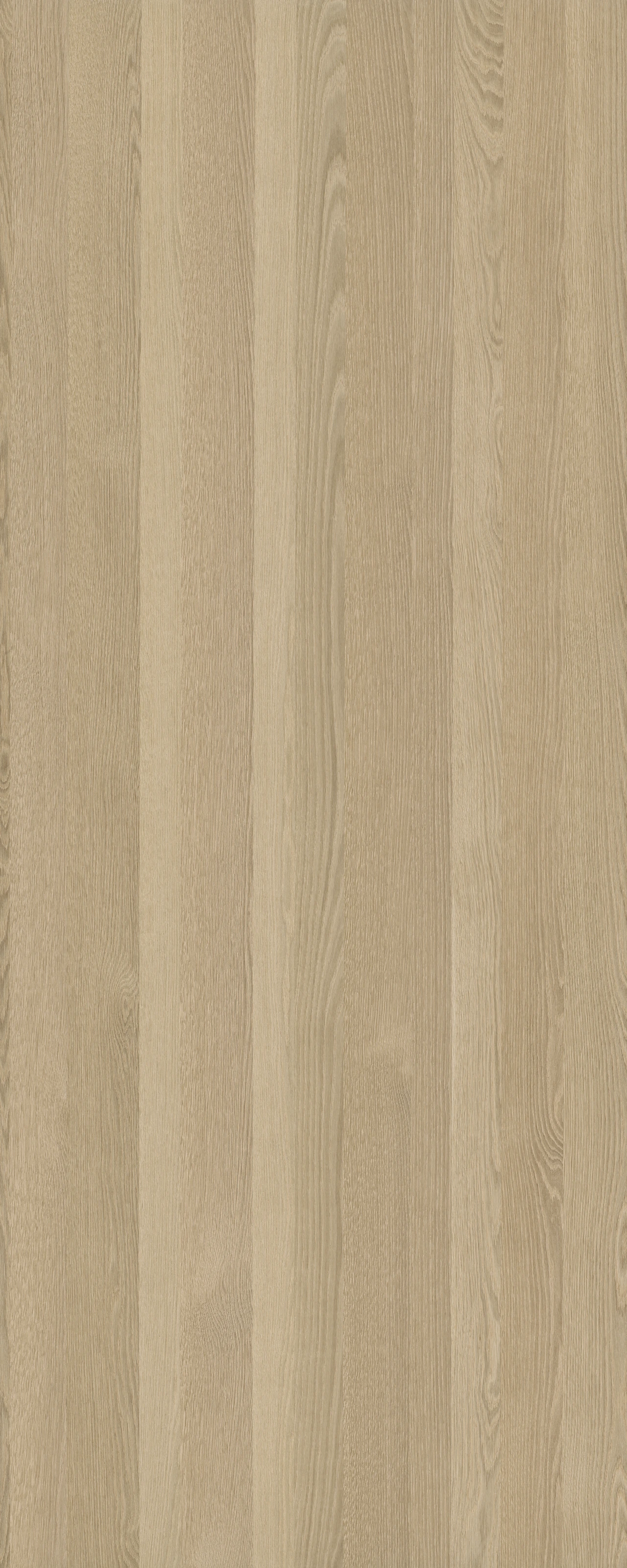 picture alternative text