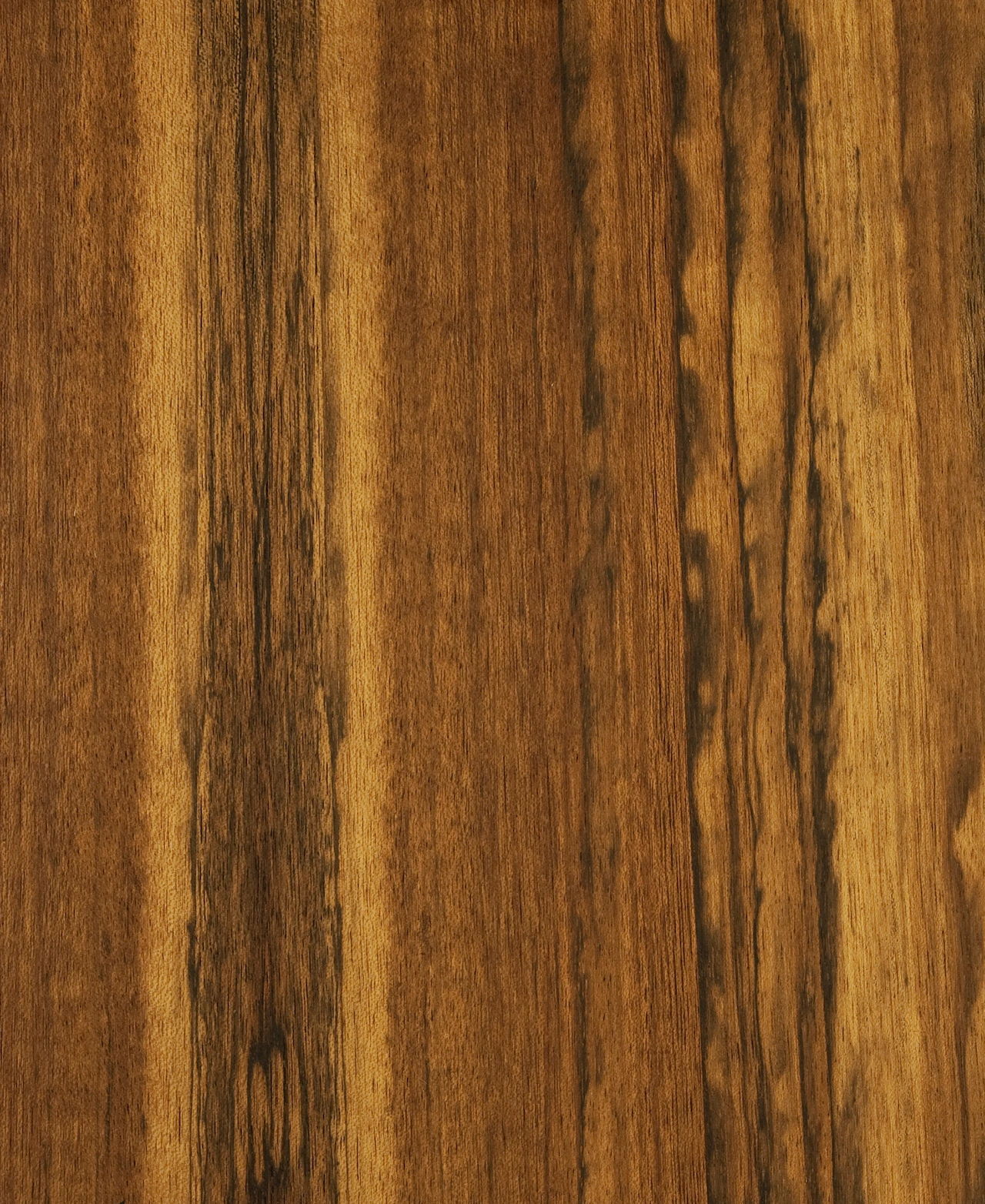 picture alternative text